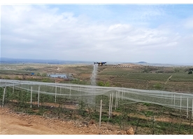 無(wú)人機(jī)打藥