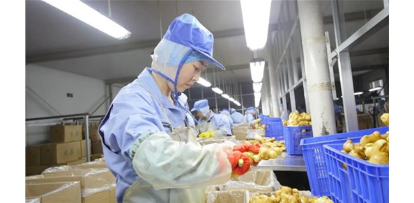 國貿(mào)基地穩(wěn)步發(fā)展，出口帶富效應明顯