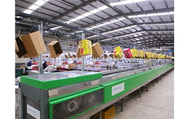 Sorting line