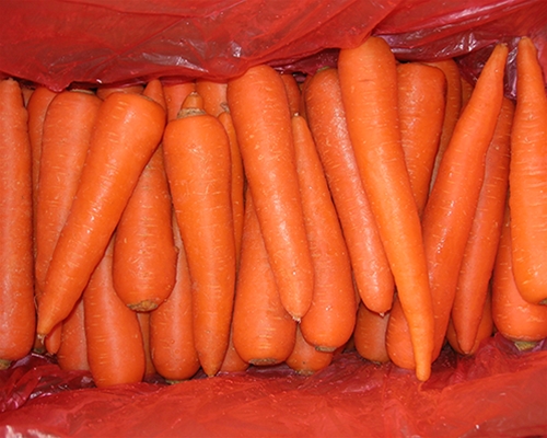 Carrots