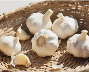 Garlic